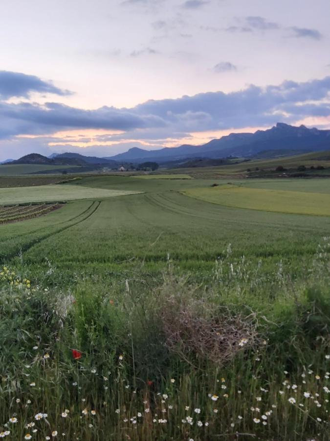 Durmiendo Como Reyes En La Rioja Cihuri Eksteriør billede