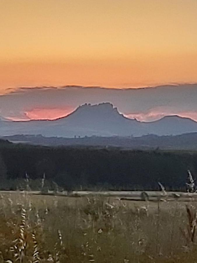 Durmiendo Como Reyes En La Rioja Cihuri Eksteriør billede